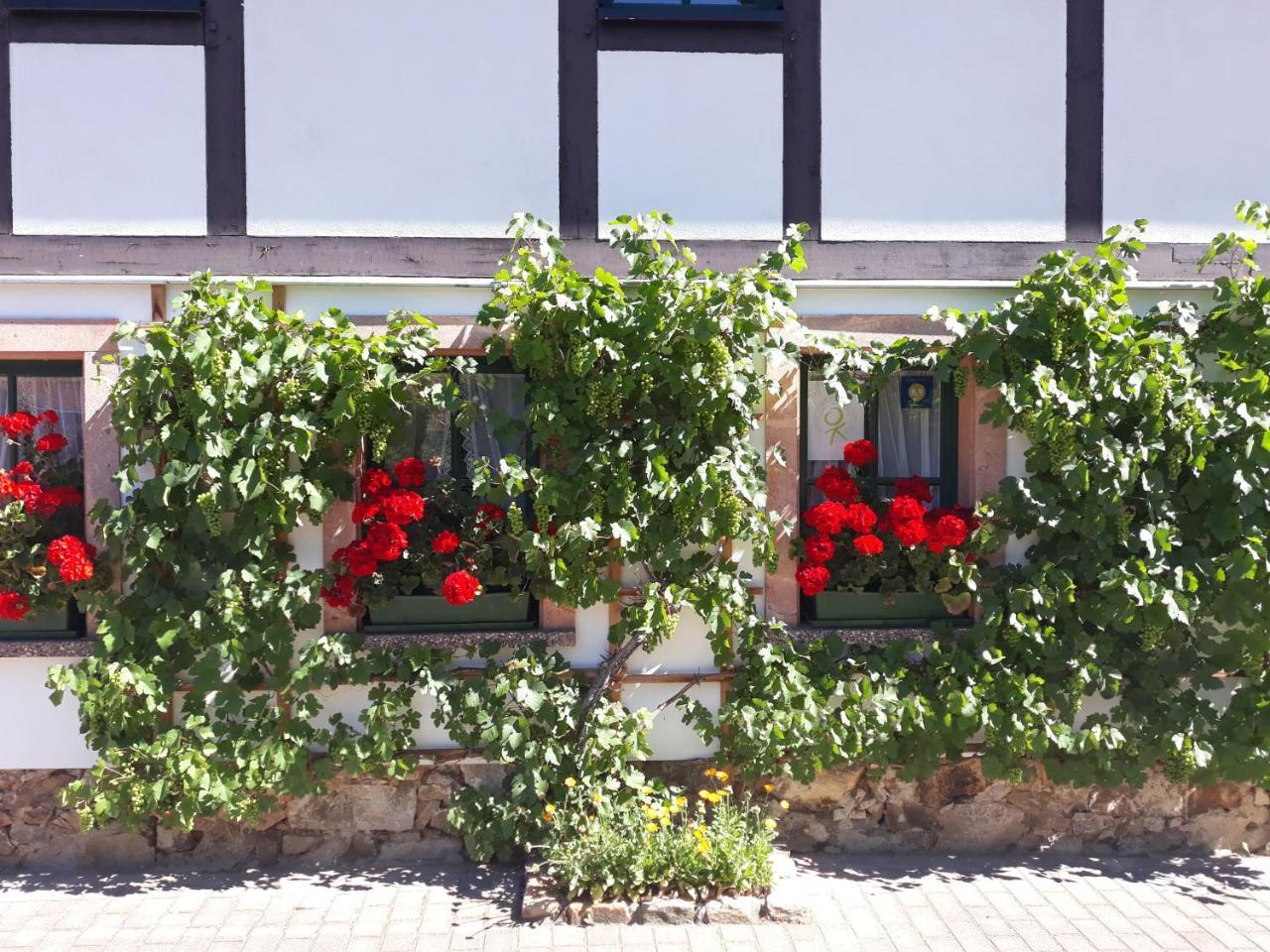 Balancehaus Kohren-Sahlis, Dein Kurhaus In Sachsen酒店 外观 照片